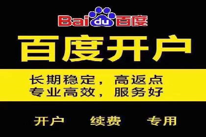 谷歌竞价案例：跨境电商广告投放策略